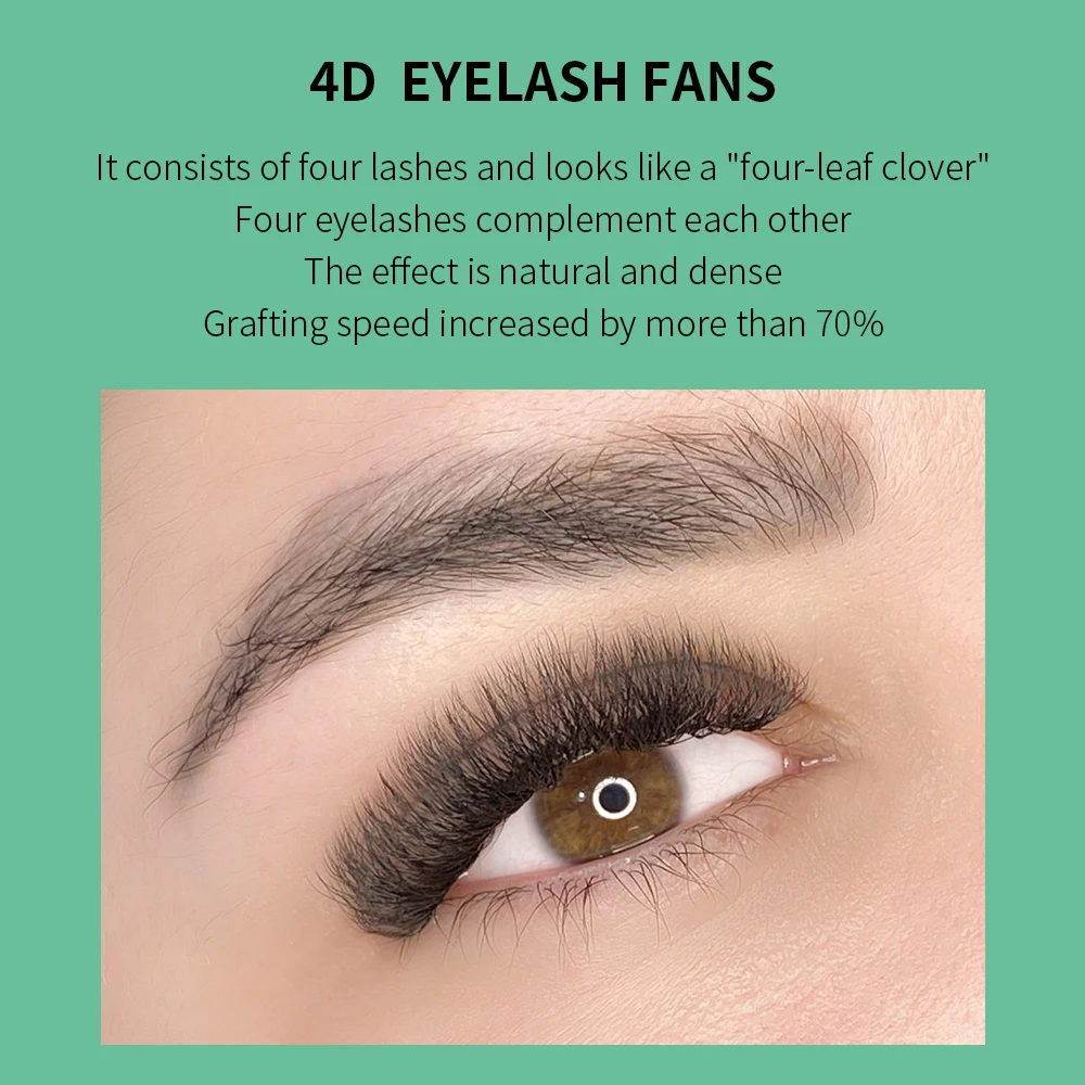 Glam4d 4D W şekli kirpik uzant - Eyelash Extension For Asian Eyes incelemesi ve fiyatı